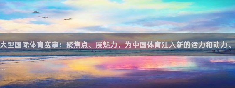 大型国际体育赛事：聚焦点、展魅力，为中国体育注入新的活力和动力。
